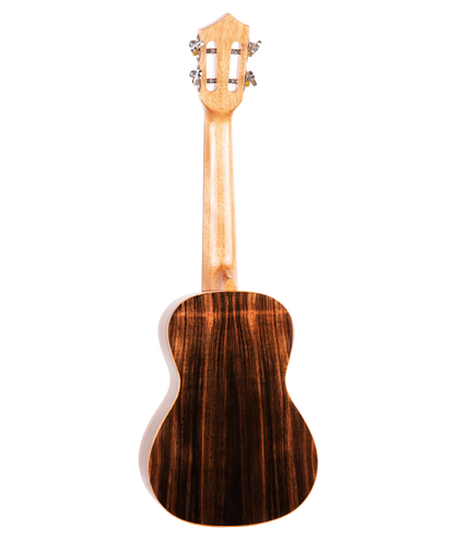 The backside of a concert sized ukulele with ebony wood