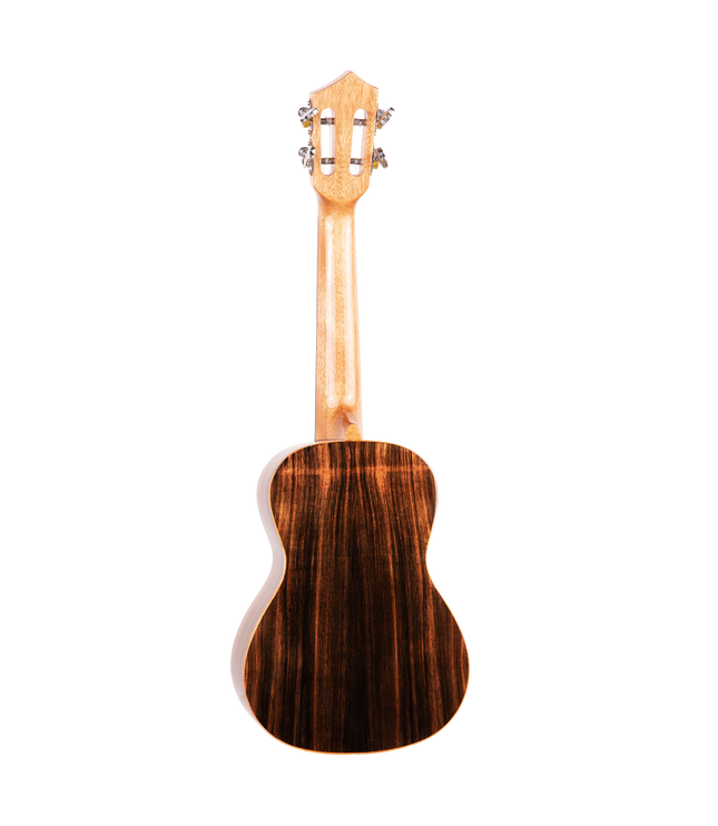 The backside of a concert sized ukulele with ebony wood
