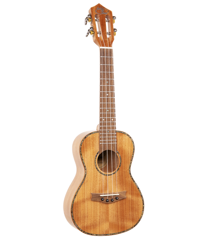 A concert sized ukulele with Eddy Finn branding