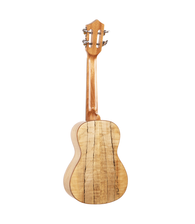 The backside of a ukulele with spalted maple